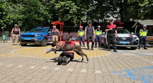 Siirt'te jandarmanın eğitimli köpekleri minik öğrenciler için gösteri yaptı