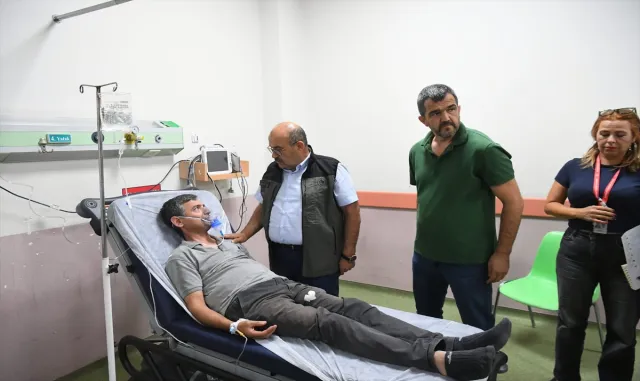 GÜNCELLEME 3 - Antalya'nın Alanya ilçesinde orman yangınına müdahale ediliyor