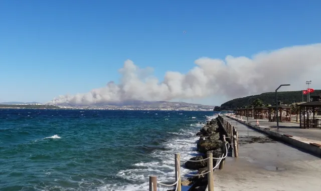 Balıkesir'in Edremit ilçesinde ormanlık ve zeytinlik alanda çıkan yangına müdahale ediliyor (GÜNCELLEME)