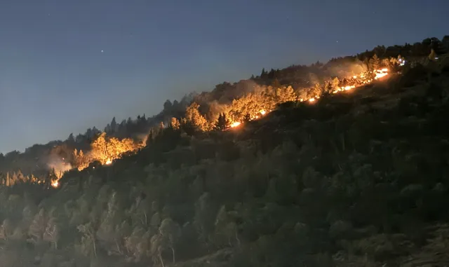 Antalya'da ormanlık alanda çıkan yangına müdahale ediliyor (GÜNCELLEME)