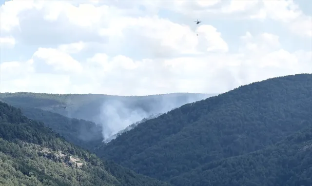 Kütahya'da ormanlık alanda çıkan yangın kontrol altına alındı (GÜNCELLEME)