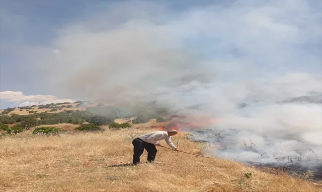 Mardin'de çıkan orman yangınına müdahale ediliyor