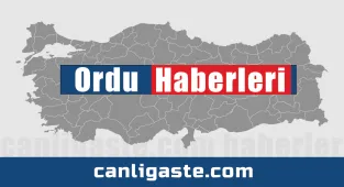 Ordu'da çatı katında bulunan 3 peçeli baykuş doğaya bırakıldı
