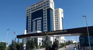 Tarım ve Orman Bakanlığı, orman yangınlarındaki son durumu paylaştı: