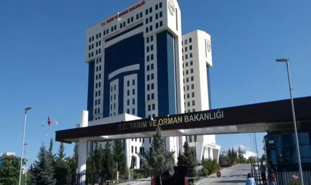 Tarım ve Orman Bakanlığı, orman yangınlarındaki son durumu paylaştı: