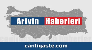 Artvin'de yüksek kesimlerde sis etkili oldu