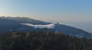 Aydın'da ormanlık alanda çıkan yangın kontrol altında (GÜNCELLEME)