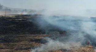 Beypazarı'nda çıkan anız yangını söndürüldü
