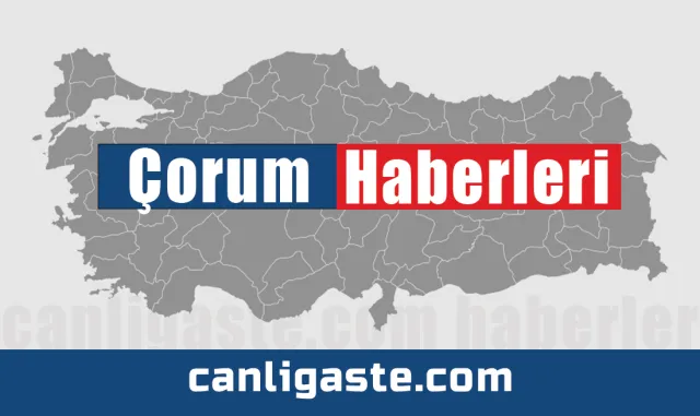 Çorum'da apartman dairesine pompalı tüfekle saldırı düzenlendi