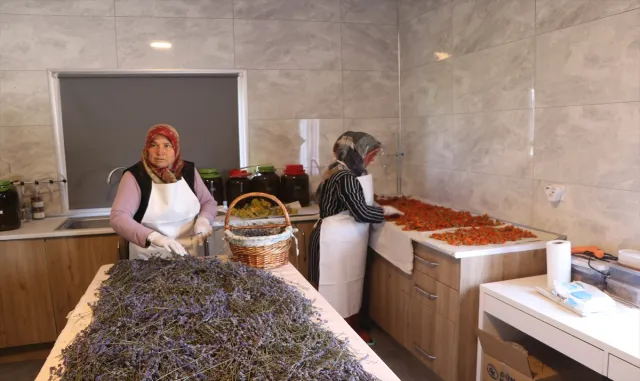 Emekli öğretmen meyveleri meşe fıçısında doğal sirkeye dönüştürüyor