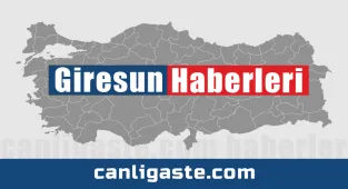 Giresun'da fındık hasadı başladı 