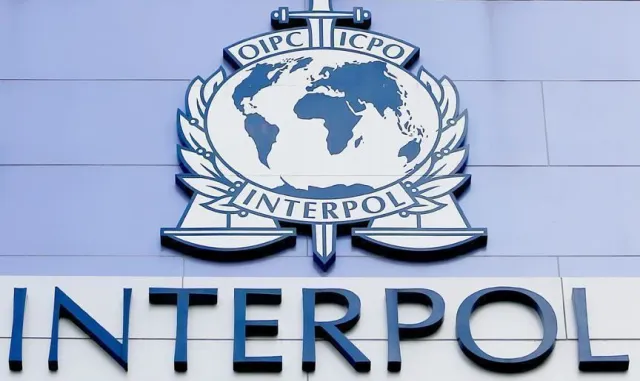 INTERPOL: Afrika'daki siber suçların yüzde 55'inde yapay zeka kullanılıyor