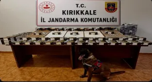 Kırıkkale'de 44 bin 420 makaron ele geçirildi