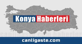 Konya Tropikal Kelebek Bahçesi'nin ziyaretçi profili haritadaki iğnelerle ortaya çıktı