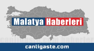 Malatya'da şarampole devrilen UTV'nin sürücüsü öldü