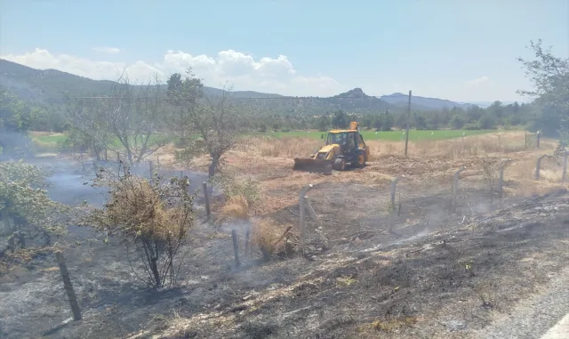 Nallıhan'da ağaçlıkta çıkan yangın kepçe operatörünün müdahalesiyle söndürüldü