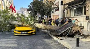 Şişli'de üzerine ağaç devrilen taksi ve otomobilde hasar oluştu (GÜNCELLEME)