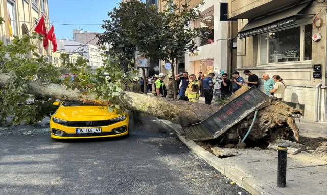 Şişli'de üzerine ağaç devrilen taksi ve otomobilde hasar oluştu (GÜNCELLEME)