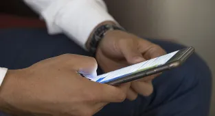 Tunus'ta orman yangınları Akdeniz'in doğal mirasını tehdit ediyor