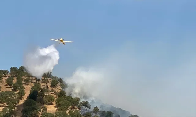 Antalya'da ormanlık alanda çıkan yangın kontrol altına alındı (GÜNCELLEME)