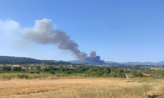 Çanakkale'de çıkan orman yangını kontrol altına alındı