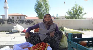 Çubuk'ta yaban meyveleri pazarcıların geçim kaynağı oldu