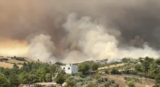 GÜNCELLEME 2 - Adana'nın Kozan ilçesinde iki noktada çıkan orman yangınlarından biri kontrol altında 
