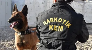 İstanbul narkotik polisi 36 saat süren 4 operasyonda 184 zanlıyı yakaladı