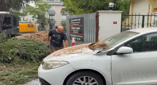 Maltepe'de kesilen ağacın iki aracın üzerine devrilmesi kamerada