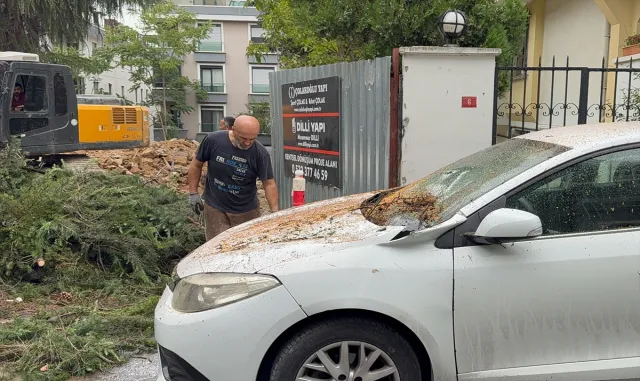 Maltepe'de kesilen ağacın iki aracın üzerine devrilmesi kamerada