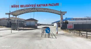 Niğde'de hayvan pazarında şap hastalığına karşı ilaçlama yapıldı