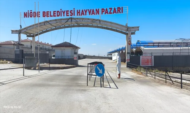 Niğde'de hayvan pazarında şap hastalığına karşı ilaçlama yapıldı