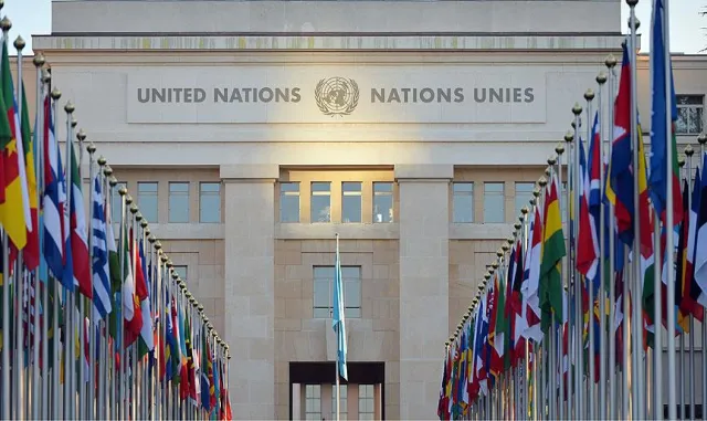 Nijerya'dan Afrika'ya BMGK'de eşit söz hakkı çağrısı