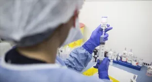 Siyah havuçlu şalgam suyundan izole edilen bakterinin kanser hücrelerini azalttığı belirlendi