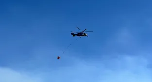 Uşak'ta meşelik alanda çıkan yangın kontrol altına alındı
