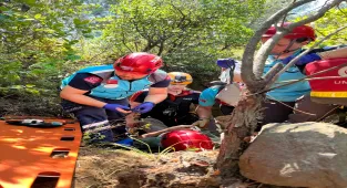 Yalova'da ormanlık alanda 7 metre derinliğindeki çukura düşen kişi kurtarıldı
