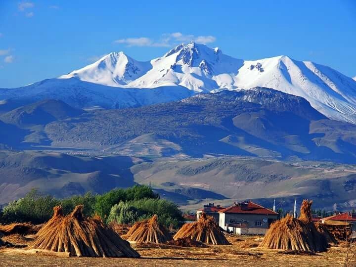 develi sindelhoyuk mahallesinde 7 ailede 22 kisi koronaviruse yakalandi kayseri canli gaste haberler