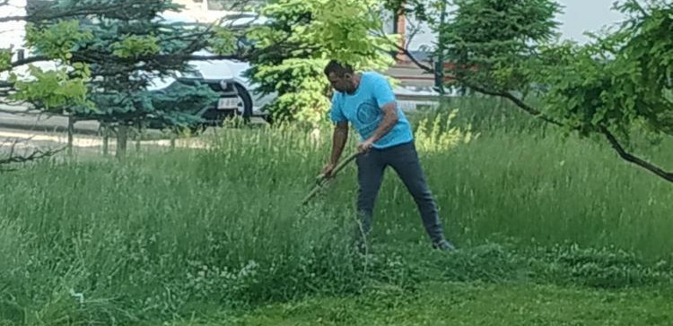 Kayseri’de park ve bahçelerin bakımında belediyeler sınıfta kaldı! İş besiciye düştü Kayseri’de park ve bahçelerin bakımında belediyeler sınıfta kaldı! İş besiciye düştü