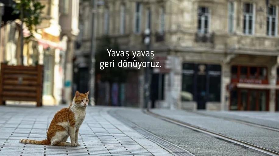 Kayseri Valiliği: 65 Yaş Üzeri ve 18 Yaş Altı Vatandaşlarımızın Sokağa Çıkma Uygulaması Kayseri Valiliği: 65 Yaş Üzeri ve 18 Yaş Altı Vatandaşlarımızın Sokağa Çıkma Uygulaması