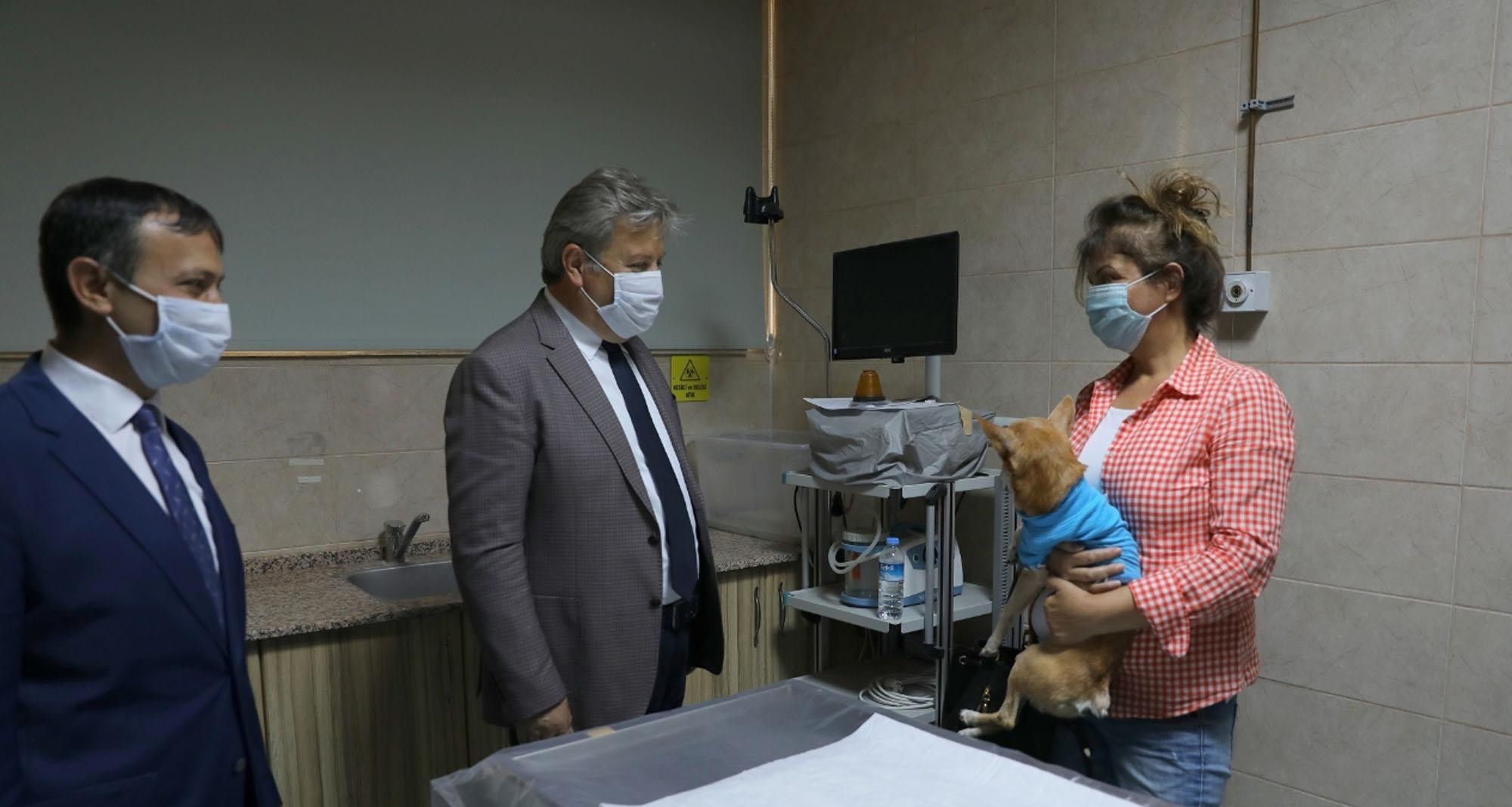 Sokak hayvanlarına yardımda,belediye-üniversite işbirliği Sokak hayvanlarına yardımda,belediye-üniversite işbirliği