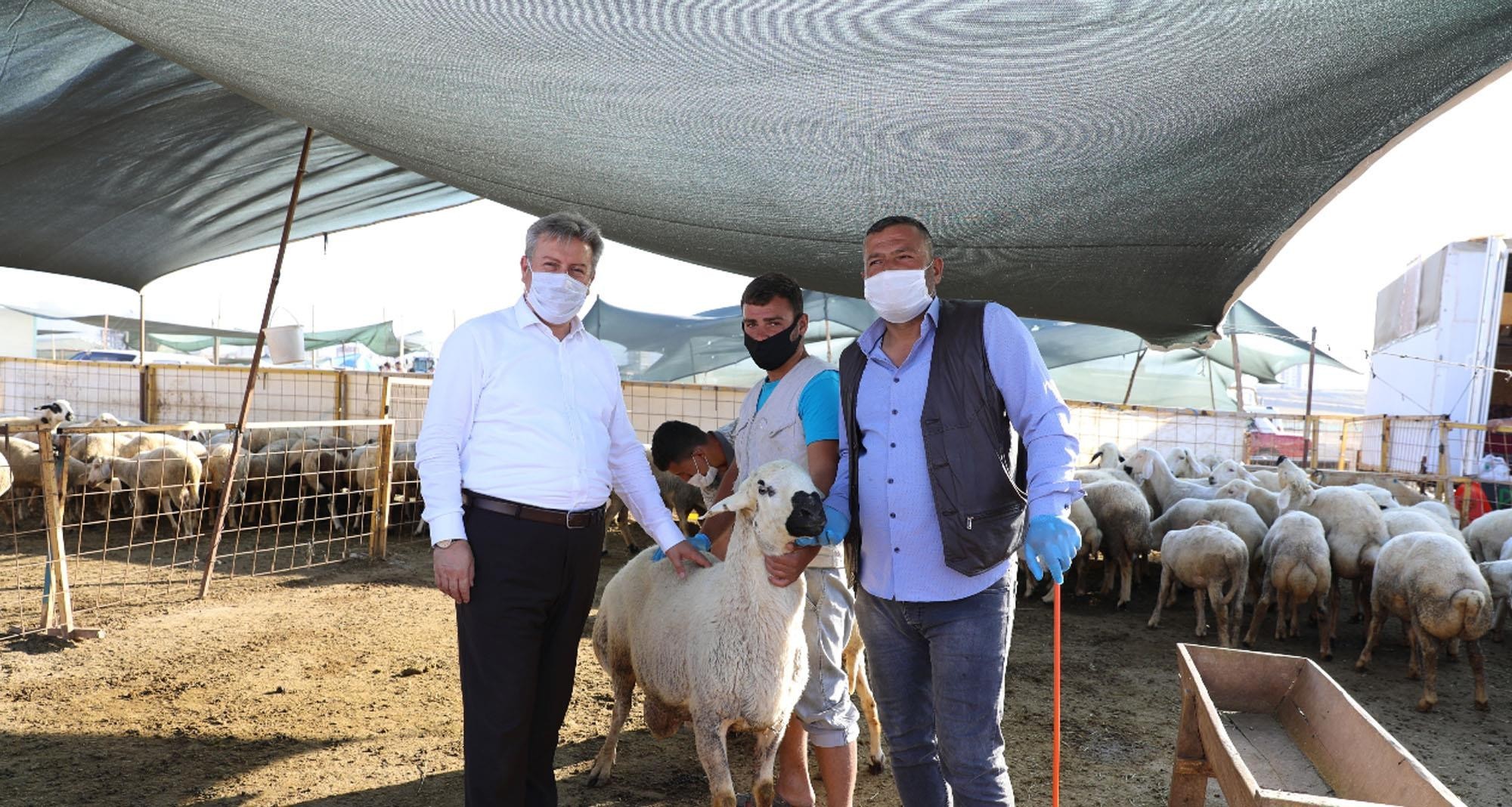 Başkan Palancıoğlu, kurban pazarı denetiminde Başkan Palancıoğlu, kurban pazarı denetiminde