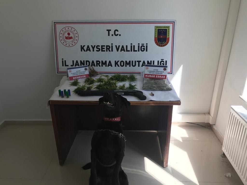 Kayseri Asayiş Haberi: Tomarza’da uyuşturucu operasyonu! Kayseri Asayiş Haberi: Tomarza’da uyuşturucu operasyonu!