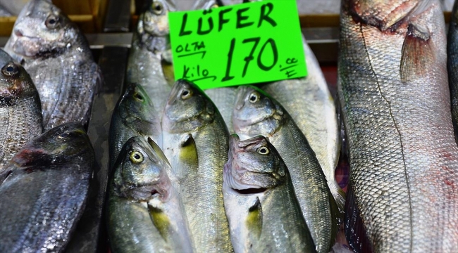 ’Denizlerin prensi’ lüfer kilogramı 170 liradan tezgahta ’Denizlerin prensi’ lüfer kilogramı 170 liradan tezgahta