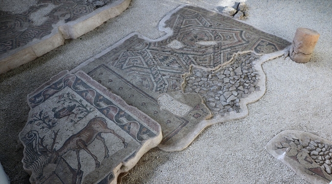 Germanicia Antik Kenti’nde sergilenen mozaik alanları artıyor Germanicia Antik Kenti’nde sergilenen mozaik alanları artıyor